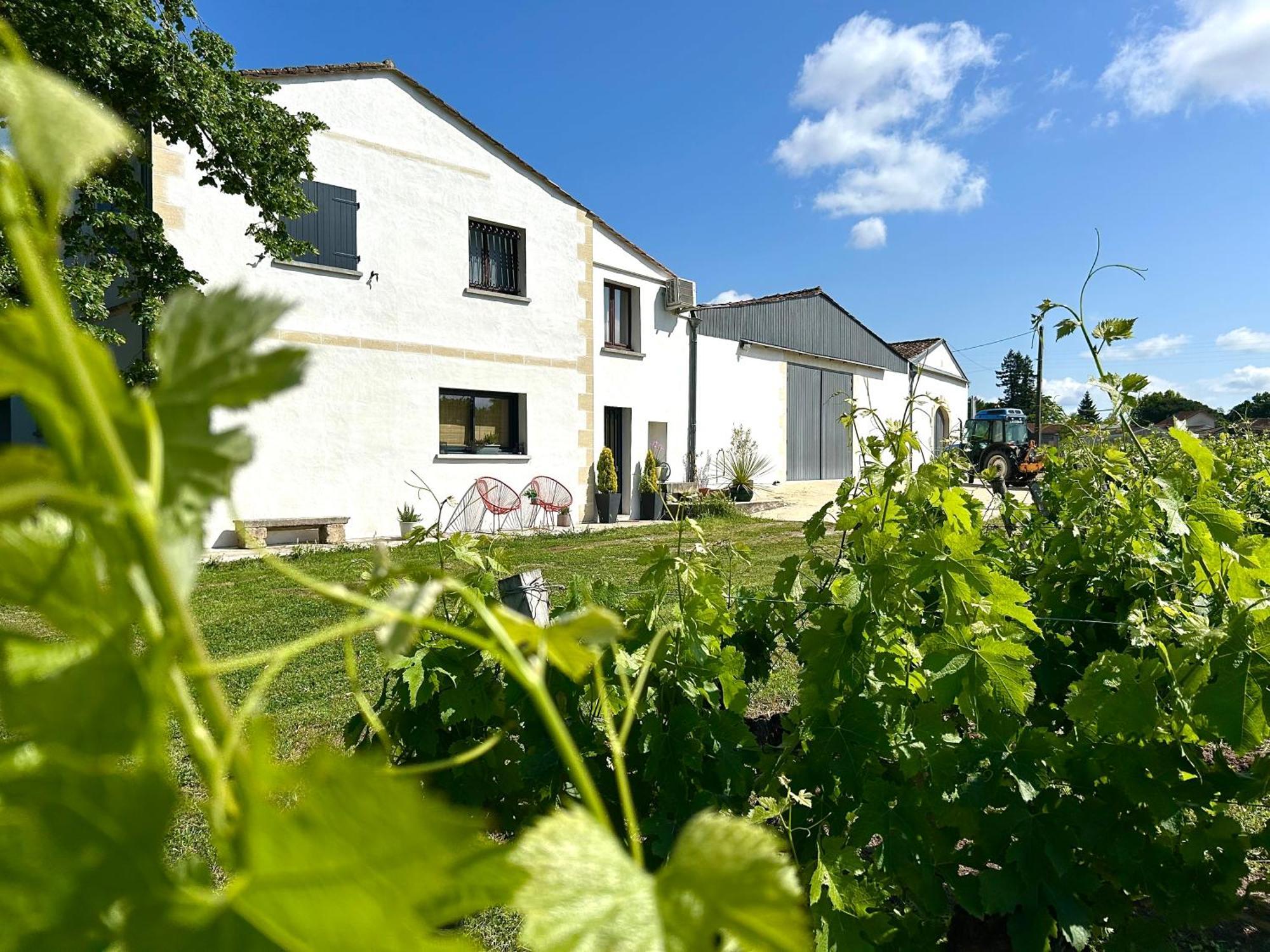 Chambre D'Hotes~Chateau Austerlitz Libourne Exterior photo